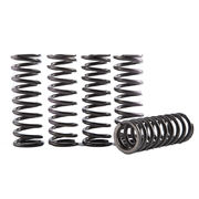 HINSON HI-TEMP CLUTCH SPRING KIT KAWASAKI KX450F 06-18, KLX450R 08-12, KFX450R 08-14, KX450 19-20